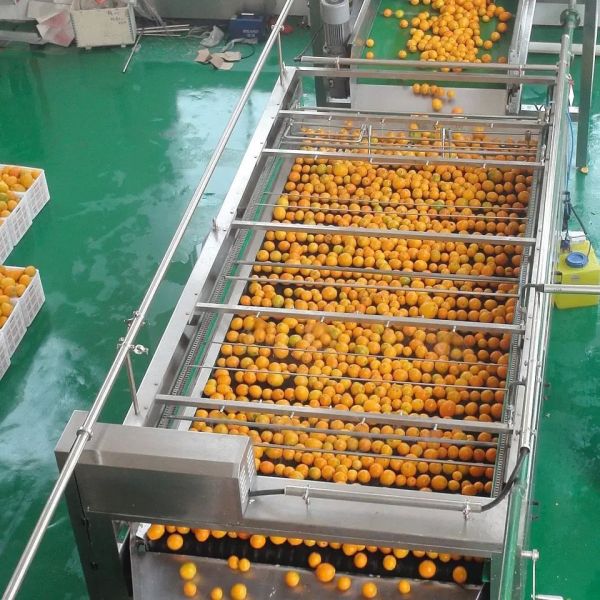 Buy All Automatic Customizable Orange Juice Machine New Juice Processing Machine Complete Fruit Processing Machine Tangerine Pulp at wholesale prices