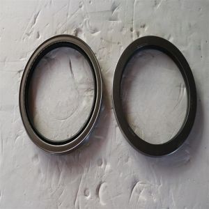 Quality Garlock Assembled Oil Seal 21086-3484 boom oil seal kit for sale