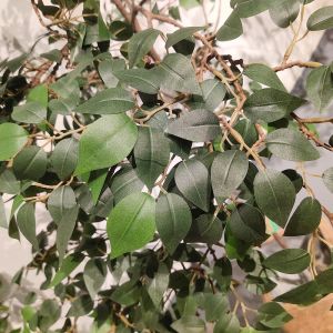 Custom Corner Artificial Ficus Tree Space Decoration Minimalist Style