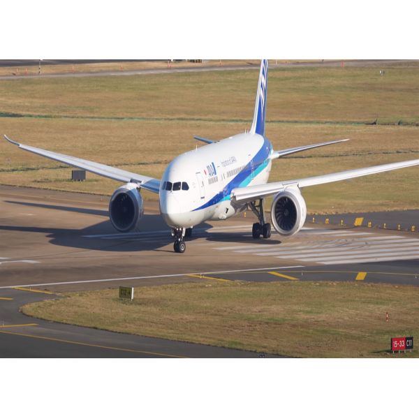 Buy Enfei Carrier International Air Freight Shipping Offering Insurance Consultation Services at wholesale prices