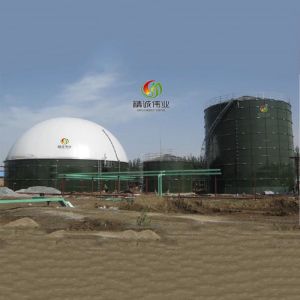 Automatic Control Double Membrane Biogas Holder With Anaerobic Reaction