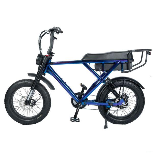 Customized Mountain Electric Bike with Torque 30-50 Nm and 48V Voltage Beach Bikes Cruisers