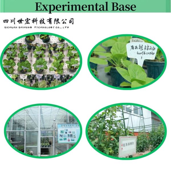 Enzymatic Hydrolysis Fish Protein For Organic Agriculture Nitrogen Fertilizer