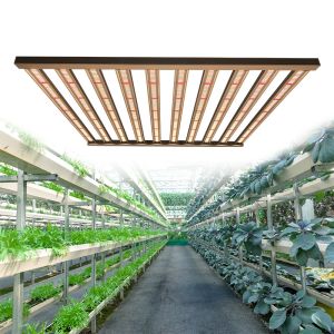 1000w Lm301B LED Cannabis Plant Daisy Chain Grow Lights