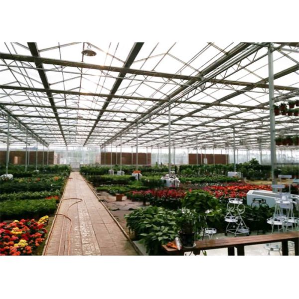 8m*4m Dimenison Garden Glass Greenhouse Easily Assembled Highly Durable