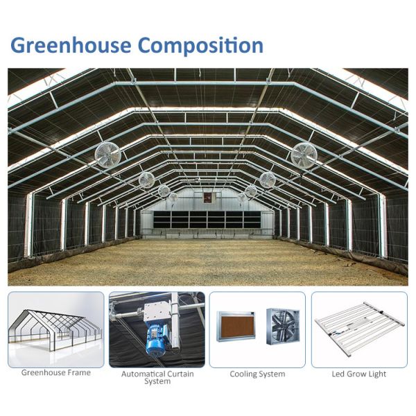Anti UV PE Film Light Deprivation Greenhouse With Automatic Ventilation System