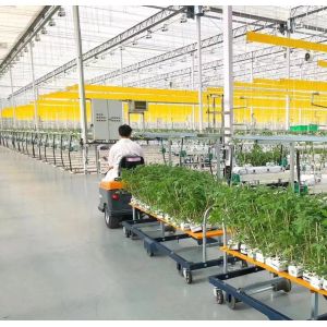 Maximize Your Tomato Yield with Anti-Drip Technology Greenhouse and Temporary