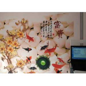 Computer Control CMYK Vertical Direct Wall Inkjet Printer CCC