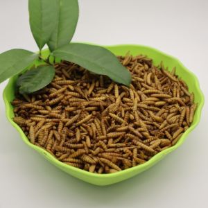 Quality B2B Buyers Delight Nutritious Black Soldier Fly Meal from for sale