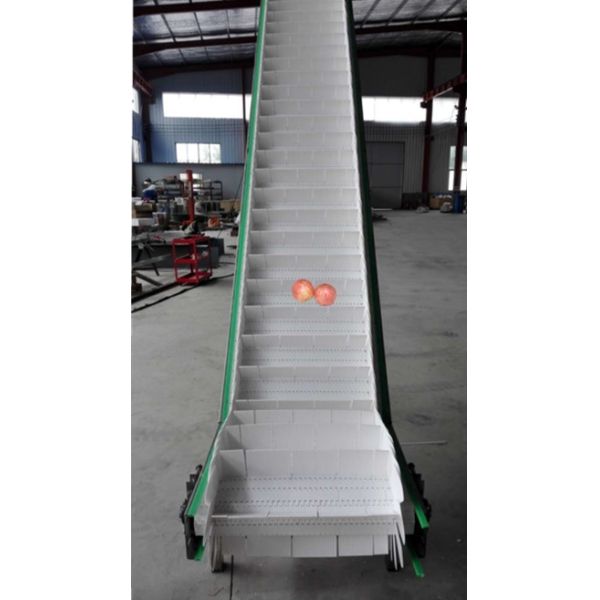 Hot Selling Plastic Mesh Belt Lifting Conveyor Food Transportation