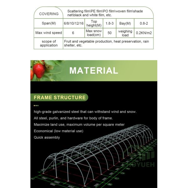 Plastic Film Tunnel Greenhouse Kit Width 6m 8m 9m For Growing Vegetables Flowers Fruits