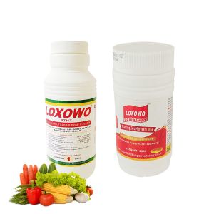 Specialized Manufacturer Root Hydroponic Liquid Plant Fertilizer 6% Npk