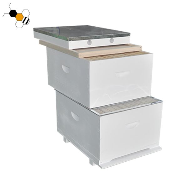 20mm Thick 10 Frames White Wood Pine Bee Hive