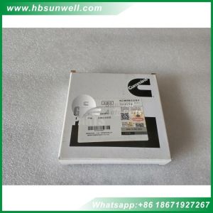 Cummins M11 L10 Diesel Engine Parts Crankshaft Rear Oil Seal 3892020 3803488