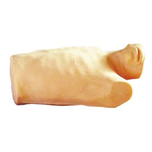 Quality Health care simulation Pericardial pucture , endocardial injection Models for sale