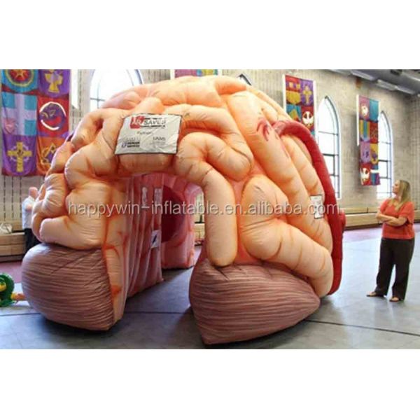 Inflatable Brain Model Tent Inflatable Medical Conferences Exhibitions - Mega Brain