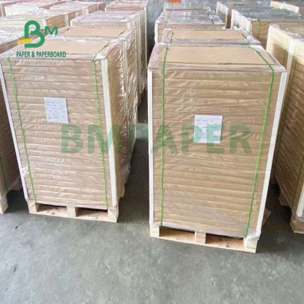 250gsm Good Printability Glossy Text Cover 610mm X 860mm High Brightness 250gsm Good Printability Glossy Text Cover 610mm X 860mm High Brightness