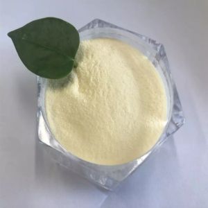 Quality Organic Fertilizer Production Fish Powder High Protein Plant Organic Fertilizer for sale