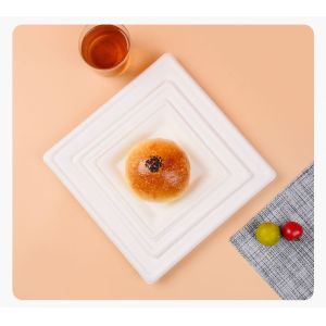 Food Custom Molded Pulp Packaging Biodegradable Environmentally Friendly