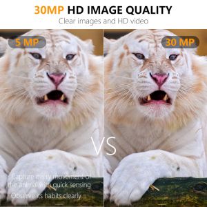 Long Range 30MP HD Hunting Cameras