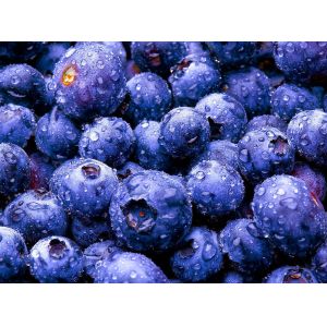 Natural Anthocyanidins Bilberry Fruit Extract--Vaccinium Myrtillus L.