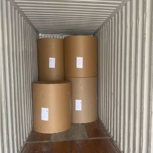 Bible printing paper parchment bible paper roll