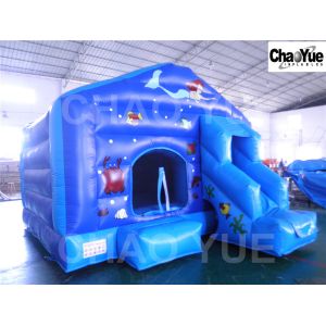 The Little Mermaid Castle (CYBC-213)