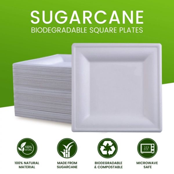 9in 10in Eco Friendly Compostable Sugarcane Paper Plates Dessert Square Cake Plate
