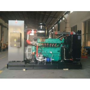 50KW Natural Gas Biogas LPG Generator Set with Soundproof Canopy IP23 Protection