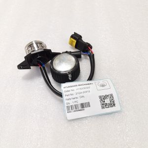 Dial Excavator Engine Parts 21Q4-20812 21Q4-20811 21Q4-20810 For R125LCR-9A