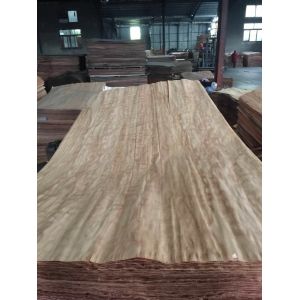 sell Dillenia face veneer