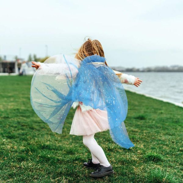 Silk Dress Pink Blue Children'S Clothing Accessories Dress With Tiara Crown Cape Set