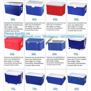 Custom Medical Organ Transport Portable Cooler Wine Beer Styrofoam Ice Chest