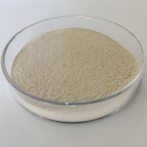 Quality Non-hazardous Protease Industrial Grade for Maximum Benefits for sale
