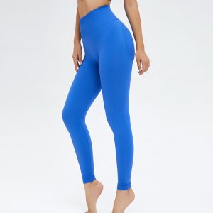 Blue Elastic Seamless High Waisted Tummy Control Workout Leggings