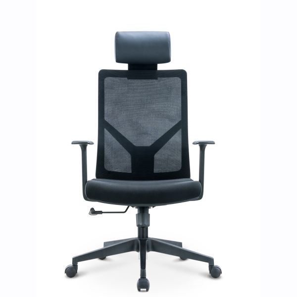 Executive Ergonomic Office Chair with Traditional Design Style and BIFMA
