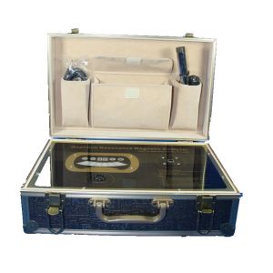 electromagnetic body scan bio analyser quantum resonance magnetic analyzer pdf