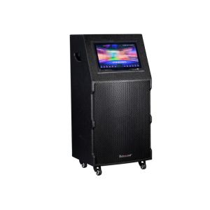 Quality Mobile Sound System Trolley , Integrated Audio Video System With Wheels for sale