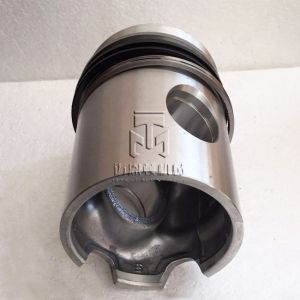 Piston Set STD 02136952 04231966 02233361 02239260 04230681 04154891 04232014