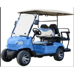Cool 4 Seater Golf Cart With Multiple Color Options And 10'' Road Tires CE