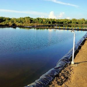 Black Geomembranes for Agricultural Ponds HDPE Geomembrane in South Africa's