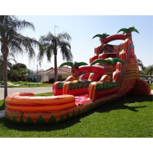 Backyard Water Park 0.55mm Commercial Bounce House Water Slide