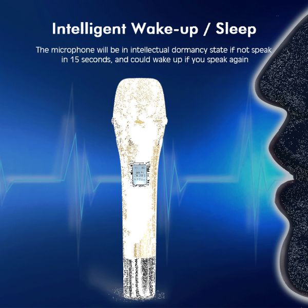 Buy UHF Professional Dual KTV Karaoke Professional wireless microphone at wholesale prices