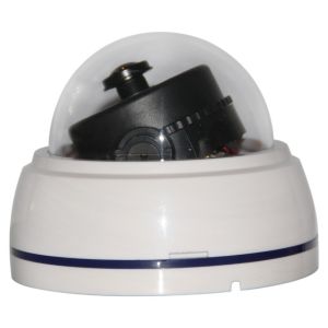 Mini Dome IP Camera with 180 Degree Fisheye Lens