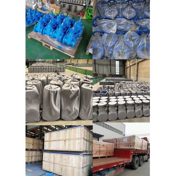 EN 1092-2 Ductile Iron Flange Elastic Wedge Gate Valve With Good Air Tightness