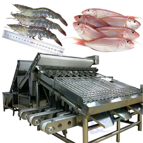 Buy Automatic shrimp sorting machine for shrimp peeling fresh prawn washing rolling sorting machine shrimp grader at wholesale prices