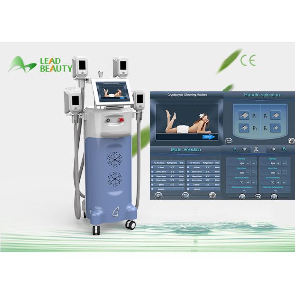 Buy Cryopolysis body slim fat freezing cryo cool tech slimming machine at wholesale prices
