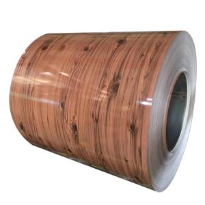 ASTM Standard Prepainted Galvanized PPGI PPGL Roll Color Coated Steel Coil for