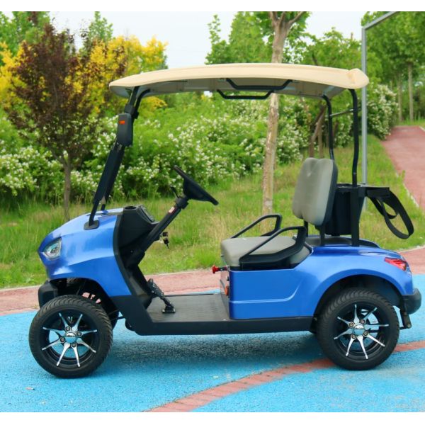 Luxury Rechargeable 2 Seater Golf Cart Lithium Ion Battery Golf Club Cart