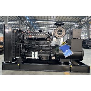 1500 rpm 300KW Cummins Diesel Generator Set with Silent Canopy Advanced
